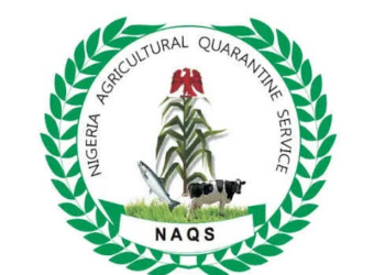 NAQS Releases Recruitment Shortlist, Sets Online CBT for August 20
