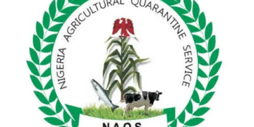 NAQS Releases Recruitment Shortlist, Sets Online CBT for August 20