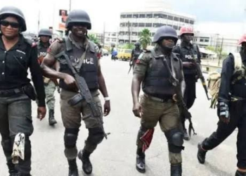 Police Uncover Suspected Bandits’ Hideout, Recover Rifles and Ammunition in Major Security Operation