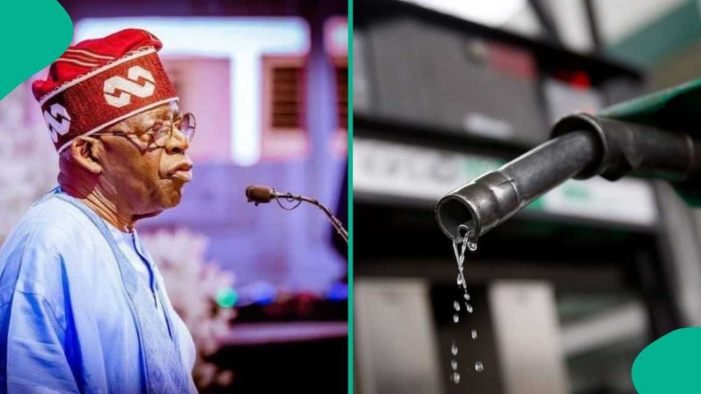 fuel subsidy