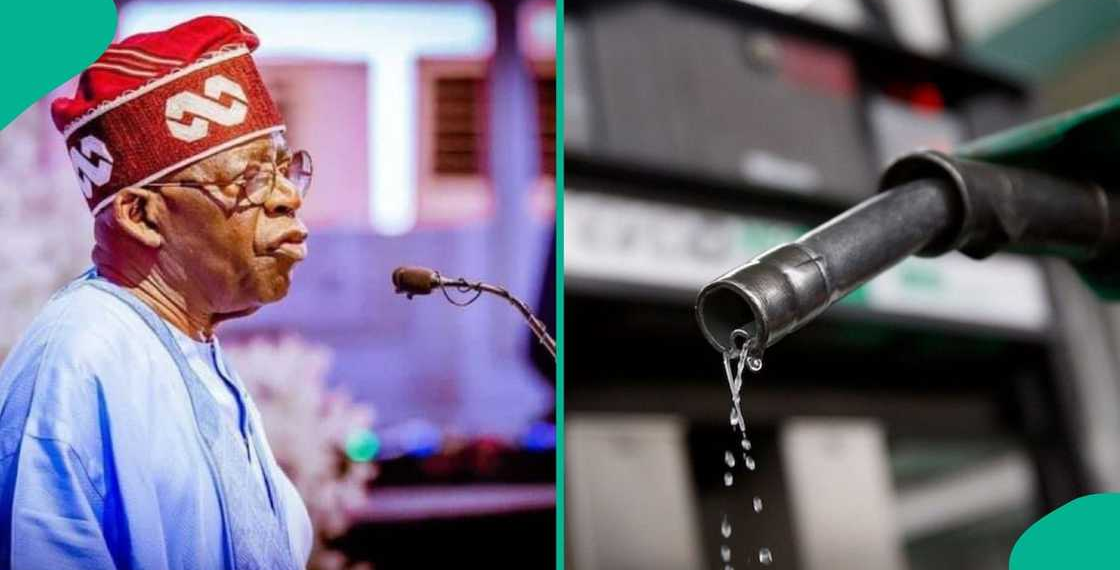 Fuel Subsidy Could Have Cost Nigeria ₦53tn Without Tinubu Reforms, NRS Chair Says