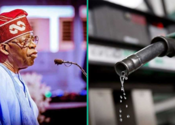 Fuel Subsidy Could Have Cost Nigeria ₦53tn Without Tinubu Reforms, NRS Chair Says