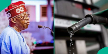 Fuel Subsidy Could Have Cost Nigeria ₦53tn Without Tinubu Reforms, NRS Chair Says