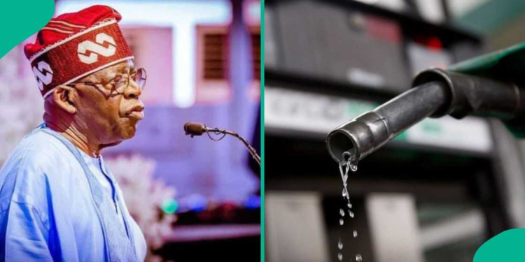 Fuel Subsidy Could Have Cost Nigeria ₦53tn Without Tinubu Reforms, NRS Chair Says