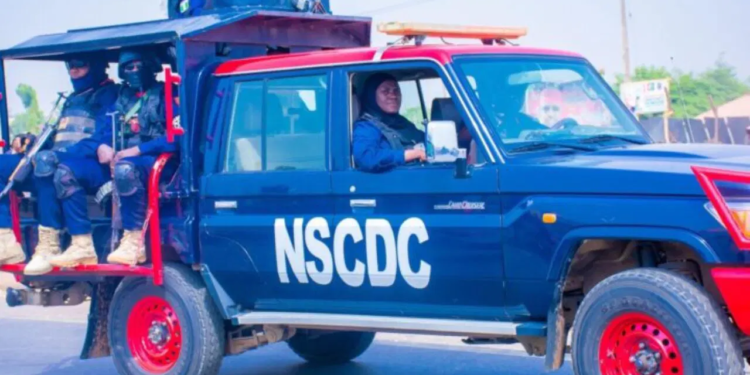 NSCDC Arrests Suspected Motorcycle Theft Accomplice in Kano, Recovers 11 Number Plates