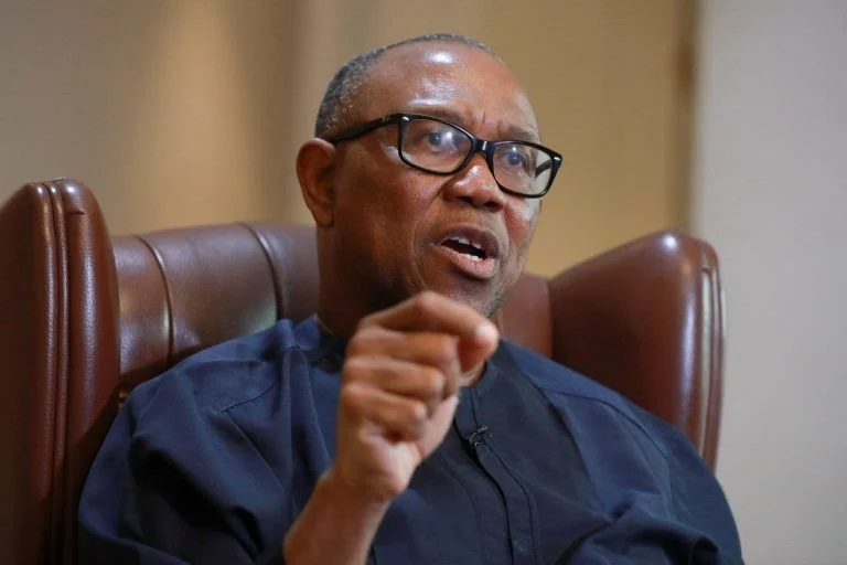 Peter Obi academic records