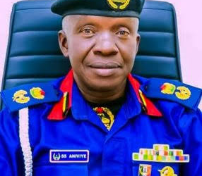 Niger NSCDC Custody Deaths: Commandant Suspended as FG, Police Probe Deaths of Dozens of Mining Suspects