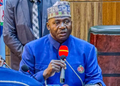Sambisa Forest as Big as Belgium, Terror Fight Enormous – Defence Minister