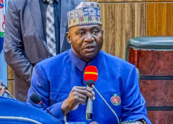 Sambisa Forest as Big as Belgium, Terror Fight Enormous – Defence Minister