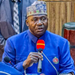 Sambisa Forest as Big as Belgium, Terror Fight Enormous – Defence Minister