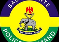 Bauchi Police Arrest Four Over Alleged Sexual Abuse of Three Girls, Woman