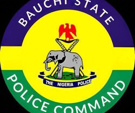 Bauchi Police Arrest Four Over Alleged Sexual Abuse of Three Girls, Woman