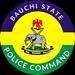 Bauchi Police Arrest Four Over Alleged Sexual Abuse of Three Girls, Woman
