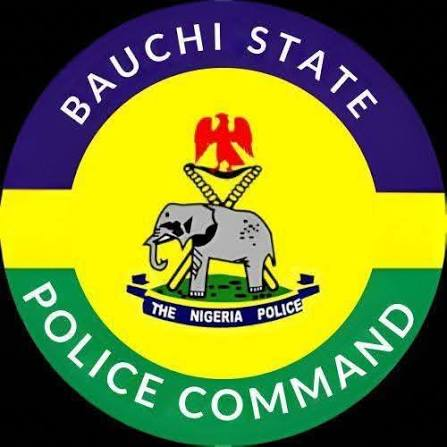 Bauchi Police Arrest Four Over Alleged Sexual Abuse